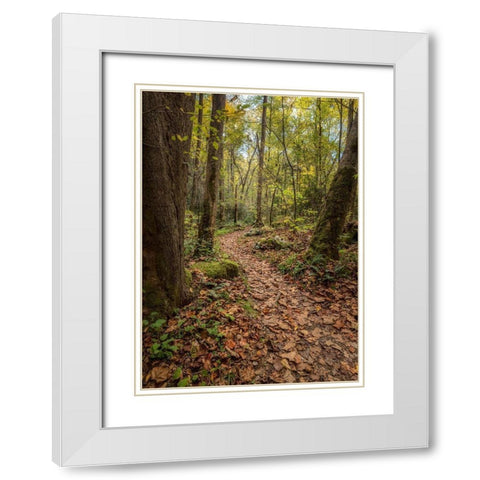 Mt Sterling Trail II White Modern Wood Framed Art Print with Double Matting by Head, Danny