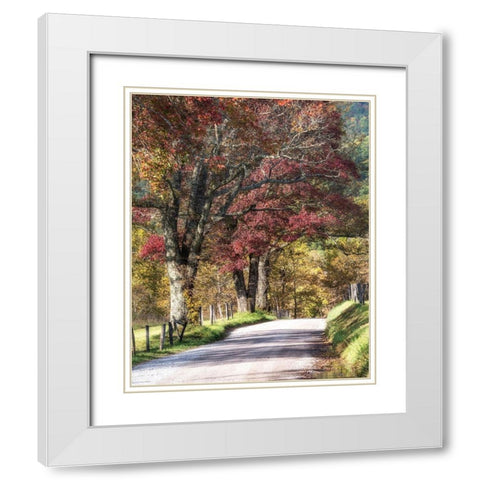 Cove Lane I White Modern Wood Framed Art Print with Double Matting by Head, Danny
