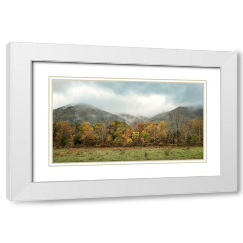 Misty Cove I White Modern Wood Framed Art Print with Double Matting by Head, Danny