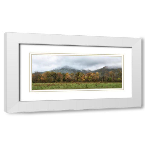 Cove Panorama White Modern Wood Framed Art Print with Double Matting by Head, Danny