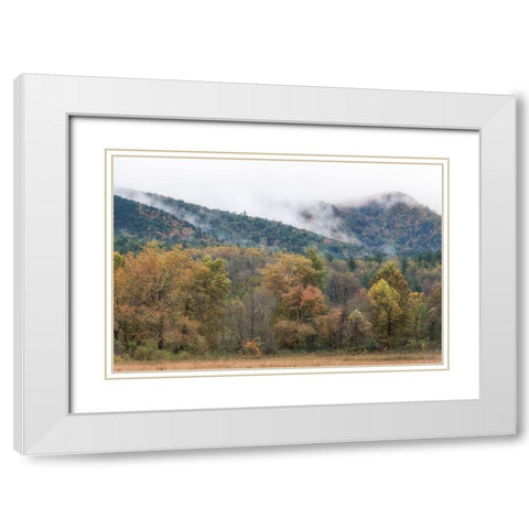 Misty Cove II White Modern Wood Framed Art Print with Double Matting by Head, Danny