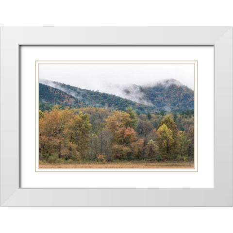 Misty Cove II White Modern Wood Framed Art Print with Double Matting by Head, Danny