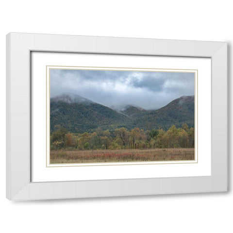 Misty Cove III White Modern Wood Framed Art Print with Double Matting by Head, Danny