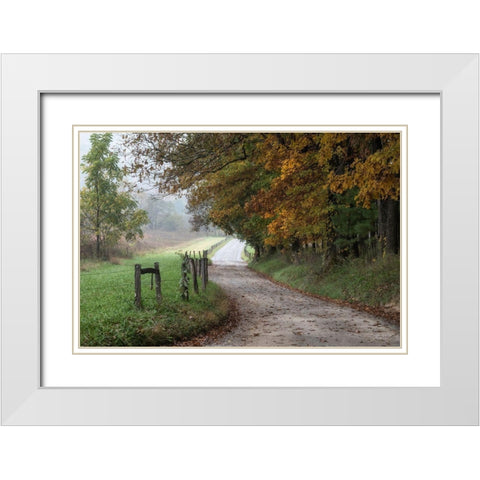 Cove Lane III White Modern Wood Framed Art Print with Double Matting by Head, Danny