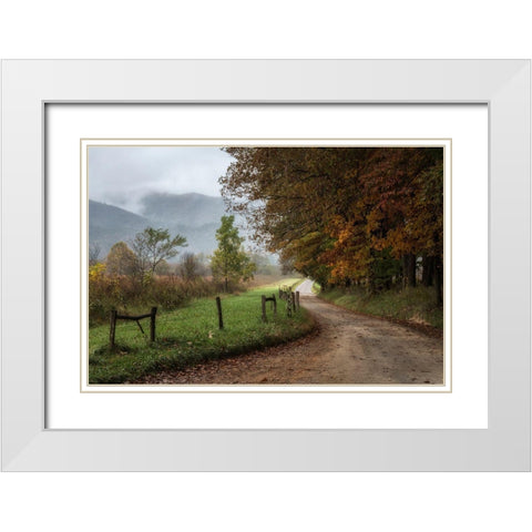 Cove Lane IV White Modern Wood Framed Art Print with Double Matting by Head, Danny