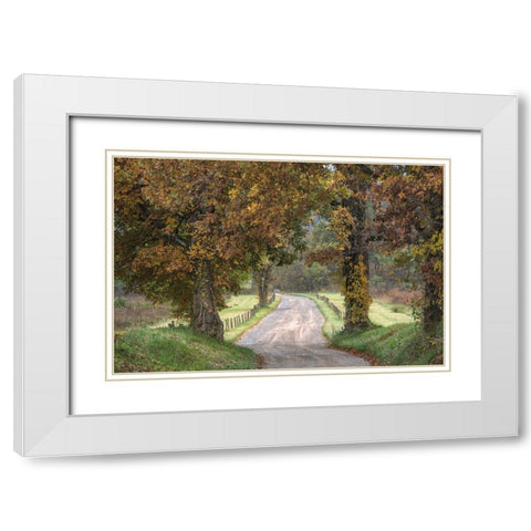 Between the Oaks White Modern Wood Framed Art Print with Double Matting by Head, Danny
