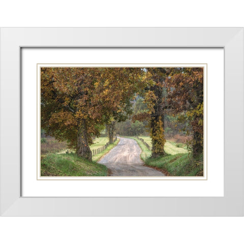 Between the Oaks White Modern Wood Framed Art Print with Double Matting by Head, Danny