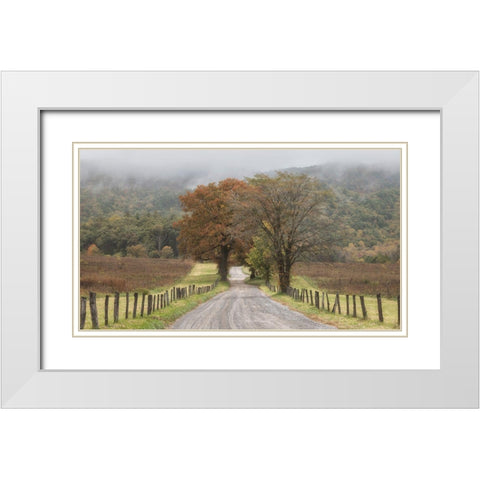 Looking Back White Modern Wood Framed Art Print with Double Matting by Head, Danny