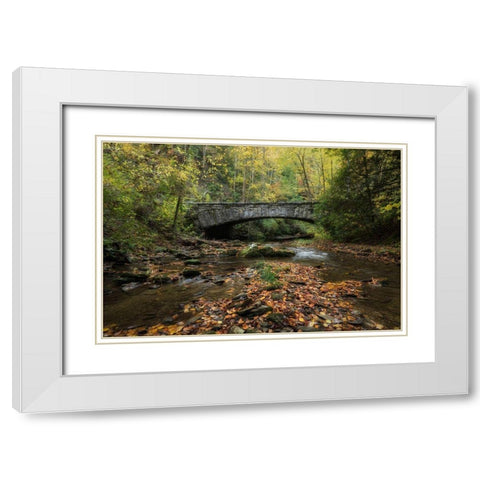 Arched Bridge White Modern Wood Framed Art Print with Double Matting by Head, Danny