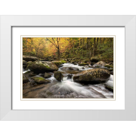 Autumn at Tremont I White Modern Wood Framed Art Print with Double Matting by Head, Danny