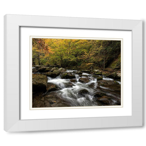 Autumn at Tremont II White Modern Wood Framed Art Print with Double Matting by Head, Danny