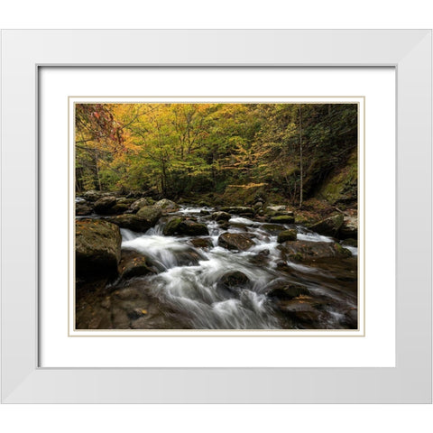 Autumn at Tremont II White Modern Wood Framed Art Print with Double Matting by Head, Danny