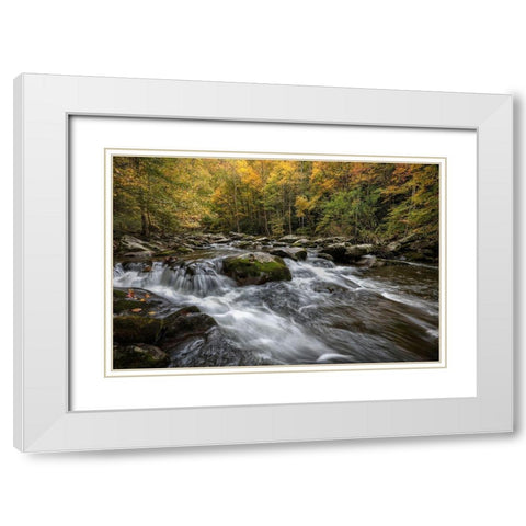 Autumn at Tremont III White Modern Wood Framed Art Print with Double Matting by Head, Danny