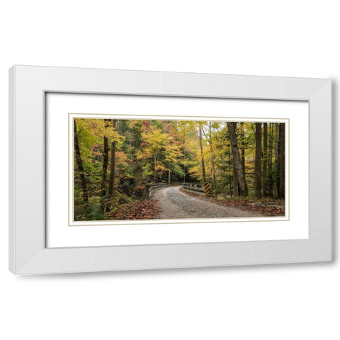 Golden Crossing White Modern Wood Framed Art Print with Double Matting by Head, Danny