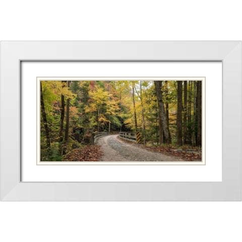 Golden Crossing White Modern Wood Framed Art Print with Double Matting by Head, Danny