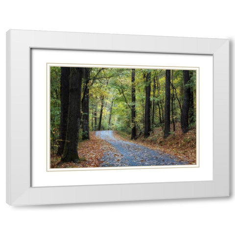 Country Drive White Modern Wood Framed Art Print with Double Matting by Head, Danny