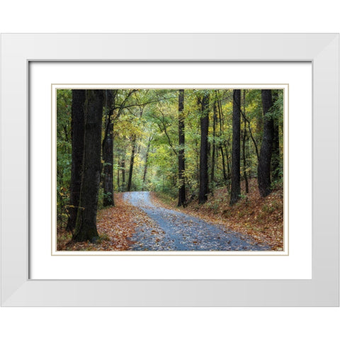 Country Drive White Modern Wood Framed Art Print with Double Matting by Head, Danny
