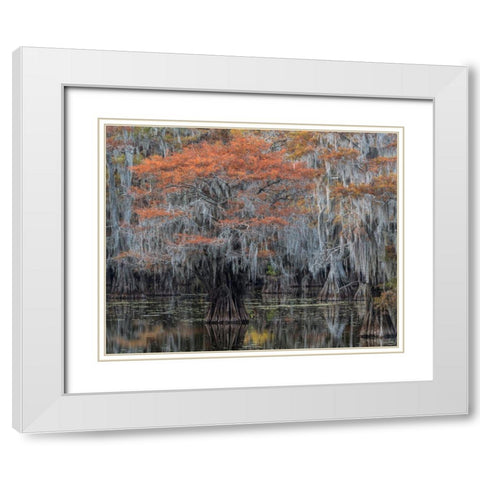 Autumn Orange White Modern Wood Framed Art Print with Double Matting by Head, Danny