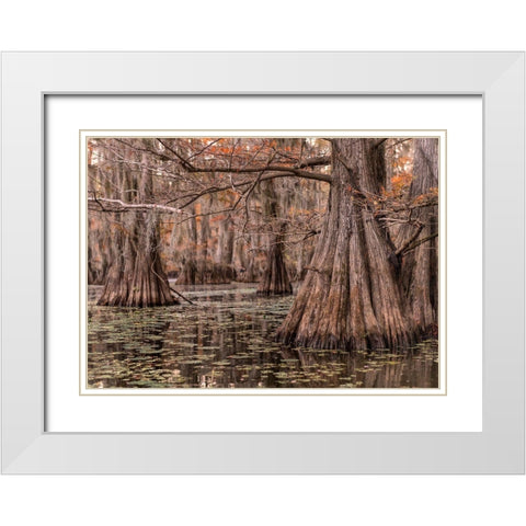 On the Bayou I White Modern Wood Framed Art Print with Double Matting by Head, Danny