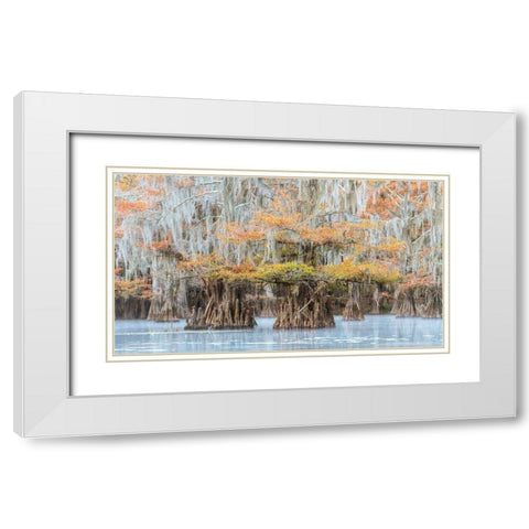 Bayou Colors White Modern Wood Framed Art Print with Double Matting by Head, Danny