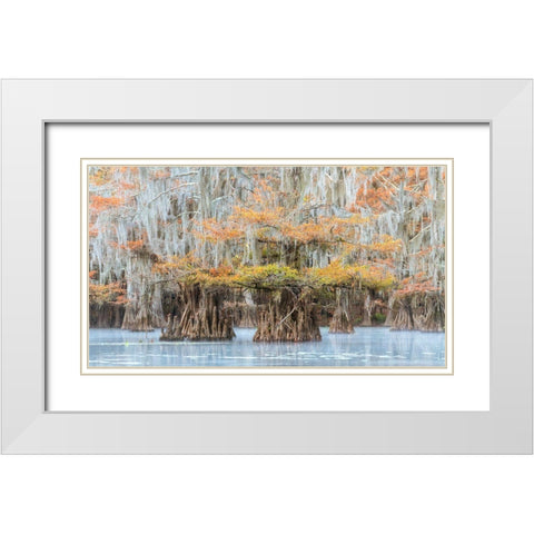 Bayou Colors White Modern Wood Framed Art Print with Double Matting by Head, Danny