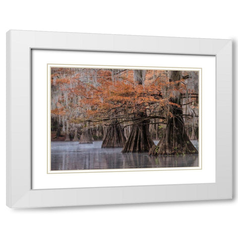 All Lined Up White Modern Wood Framed Art Print with Double Matting by Head, Danny