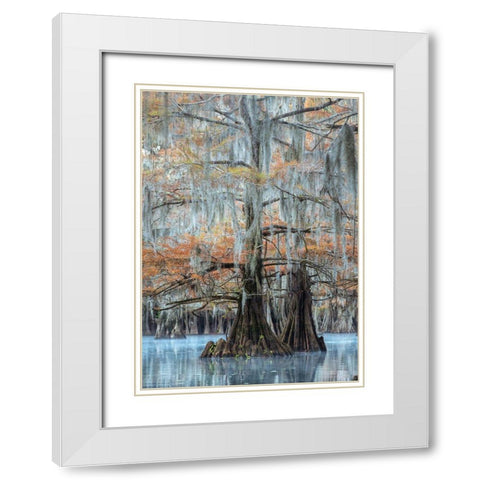 Hues of Blue White Modern Wood Framed Art Print with Double Matting by Head, Danny