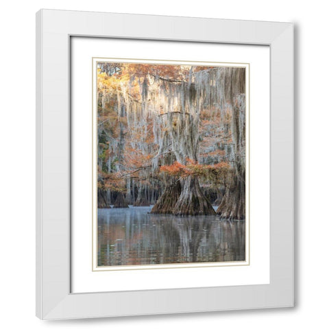 Bayou Blues White Modern Wood Framed Art Print with Double Matting by Head, Danny