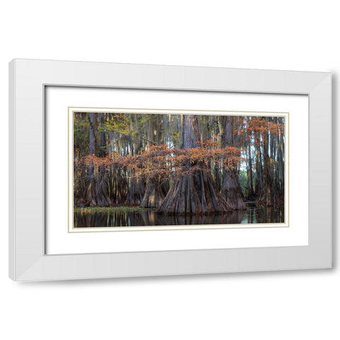 On the Bayou II White Modern Wood Framed Art Print with Double Matting by Head, Danny