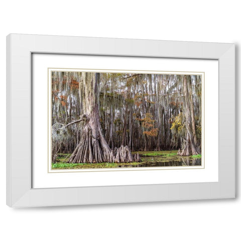On the Bayou III White Modern Wood Framed Art Print with Double Matting by Head, Danny