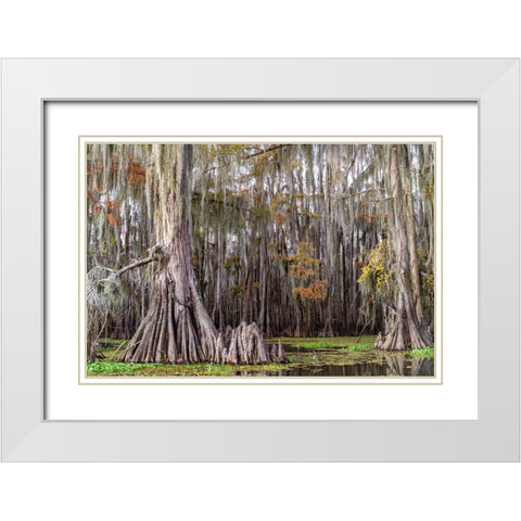 On the Bayou III White Modern Wood Framed Art Print with Double Matting by Head, Danny