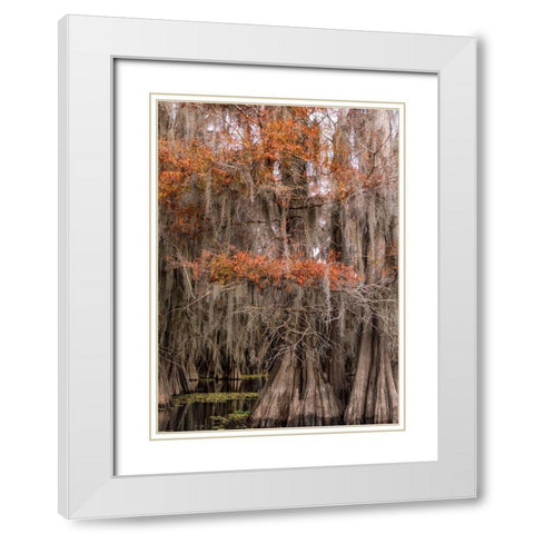 On the Bayou IV White Modern Wood Framed Art Print with Double Matting by Head, Danny