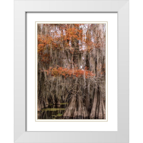 On the Bayou IV White Modern Wood Framed Art Print with Double Matting by Head, Danny