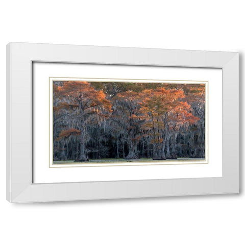 Sun Kissed White Modern Wood Framed Art Print with Double Matting by Head, Danny