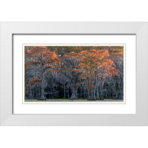 Sun Kissed White Modern Wood Framed Art Print with Double Matting by Head, Danny