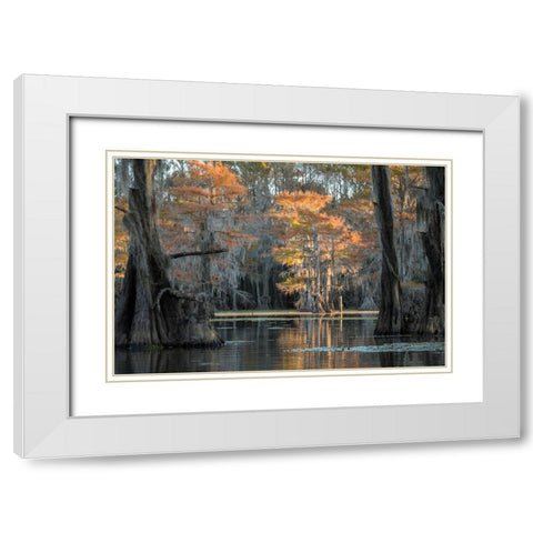Soft Light White Modern Wood Framed Art Print with Double Matting by Head, Danny