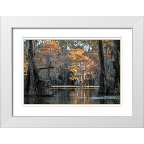 Soft Light White Modern Wood Framed Art Print with Double Matting by Head, Danny
