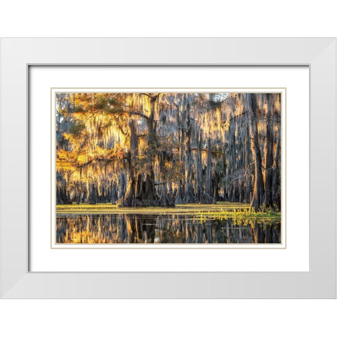 Bayou Dawning White Modern Wood Framed Art Print with Double Matting by Head, Danny