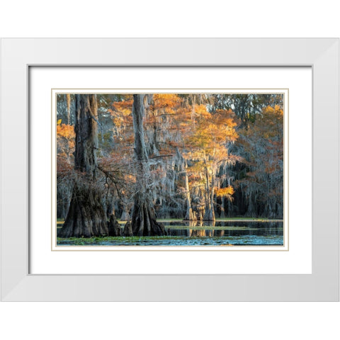 Soft Light II White Modern Wood Framed Art Print with Double Matting by Head, Danny