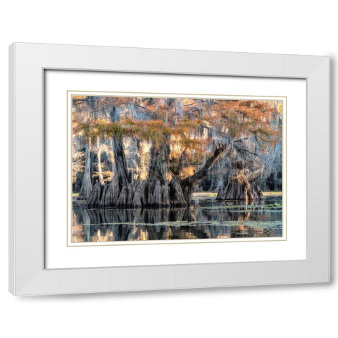 Bayou Morning White Modern Wood Framed Art Print with Double Matting by Head, Danny
