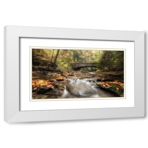 The Arch in Autumn White Modern Wood Framed Art Print with Double Matting by Head, Danny