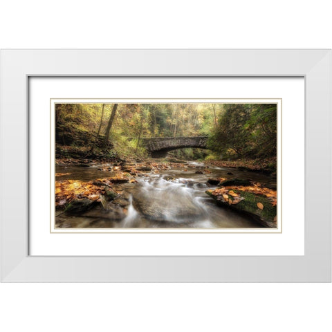 The Arch in Autumn White Modern Wood Framed Art Print with Double Matting by Head, Danny