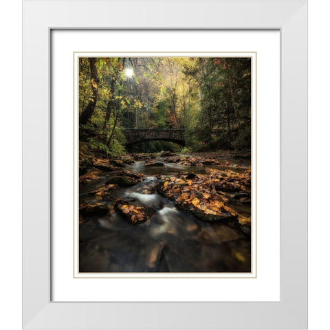 Shine On White Modern Wood Framed Art Print with Double Matting by Head, Danny