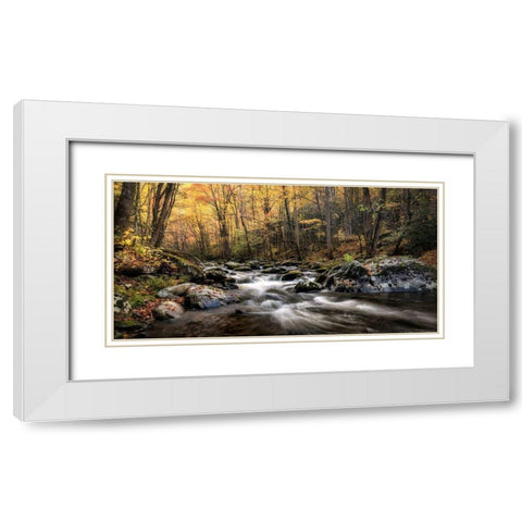 Morning Glow White Modern Wood Framed Art Print with Double Matting by Head, Danny