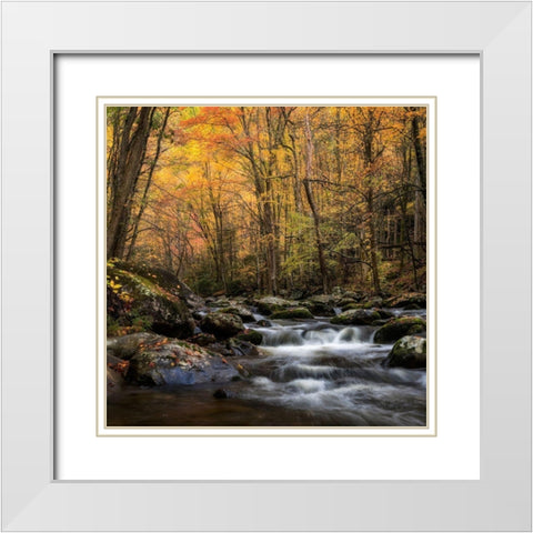 Golden Glow White Modern Wood Framed Art Print with Double Matting by Head, Danny