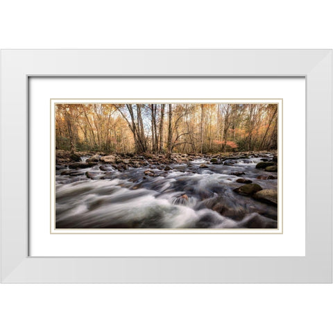 Rivers Fork White Modern Wood Framed Art Print with Double Matting by Head, Danny