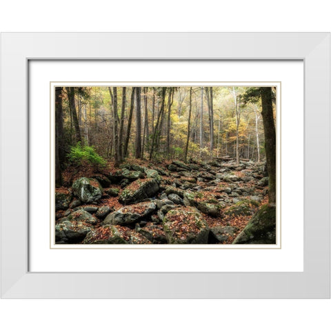 Dry Creek White Modern Wood Framed Art Print with Double Matting by Head, Danny