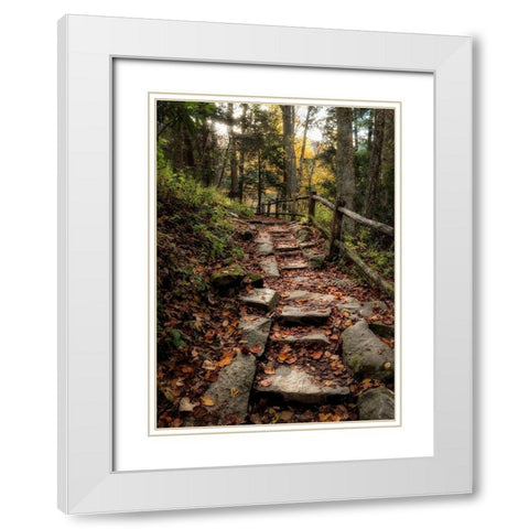 Step It Up White Modern Wood Framed Art Print with Double Matting by Head, Danny