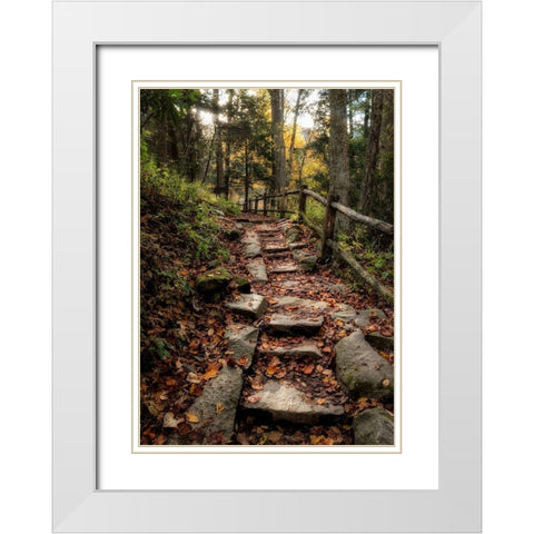 Step It Up White Modern Wood Framed Art Print with Double Matting by Head, Danny