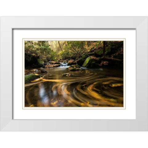 Moving Autumn I White Modern Wood Framed Art Print with Double Matting by Head, Danny